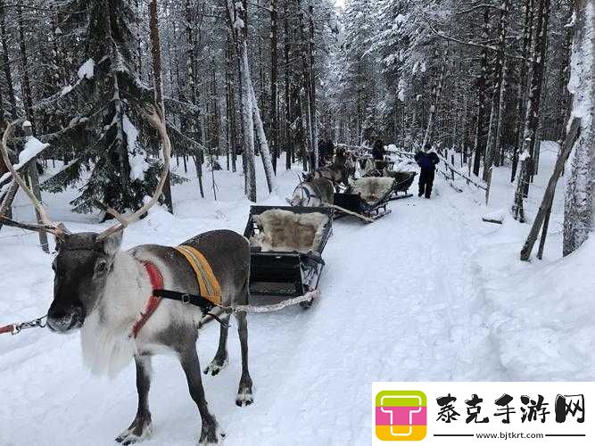 寻找冰原守卫者拉雪橇的麋鹿