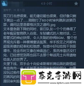 龙腾世纪4steam多半好评dei内容碍眼