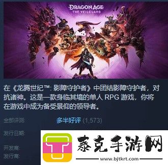 龙腾世纪4steam多半好评dei内容碍眼