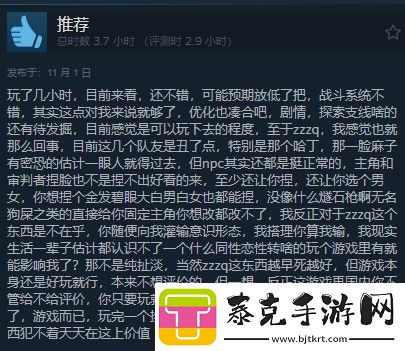 龙腾世纪4steam多半好评dei内容碍眼