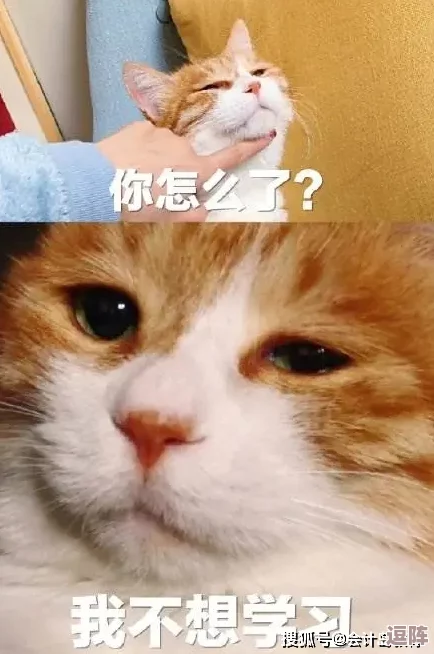 糖心网红柚子猫甘雨