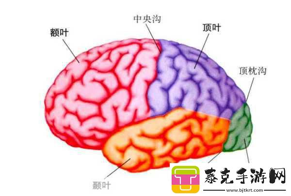 分裂之门2震撼来袭